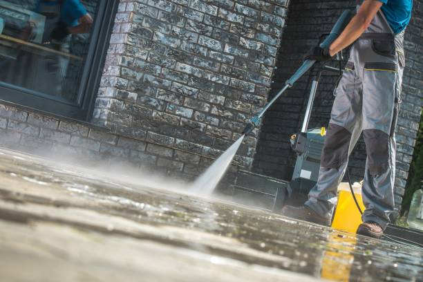 Best Gutter Cleaning  in Tracy, MN